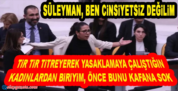 TİP’Lİ SERA KADIGİL’DEN KENDİSİNE ‘CİNSİYETSİZ’ DİYEN BAKAN SOYLU’YA SERT YANIT