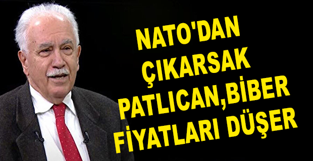 DOĞU PERİNÇEK: NATO, AYNI ZAMANDA EKMEĞİMİZLE, AŞIMIZLA İLGİLİ BİR SORUN.