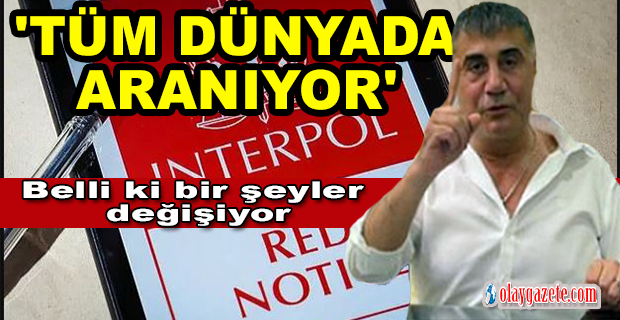 SEDAT PEKER