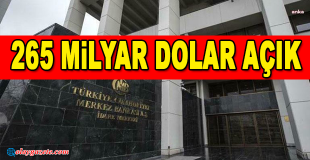 TCMB: NET ULUSLARARASI YATIRIM POZİSYONU KASIM AYINDA 265 MİLYAR DOLAR AÇIK VERDİ