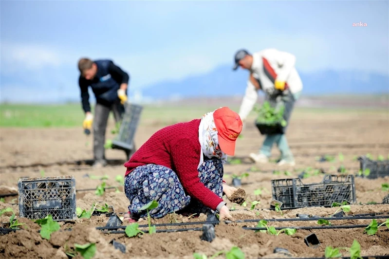 TÜİK: ÜRETİCİ FİYATLARINDAKİ YILLIK FİYAT ARTIŞI YÜZDE 42,25