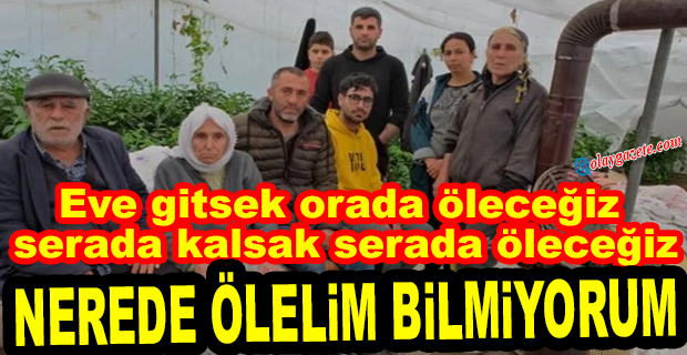 50 KİŞİLİK DEPREMZEDE AİLE BİR SERADA KALIYOR: PEKİ BEN NEREDE ÖLEYİM?