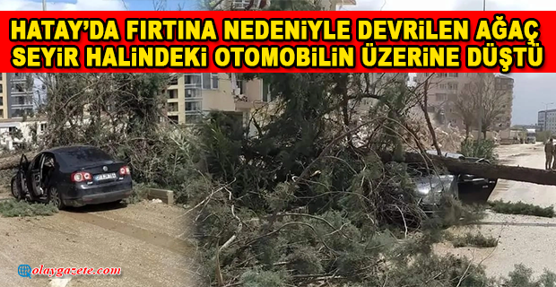 FIRTINADA AĞACI SEYİR HALİNDEKİ ARACIN ÜZERİNE DEVİRDİ…