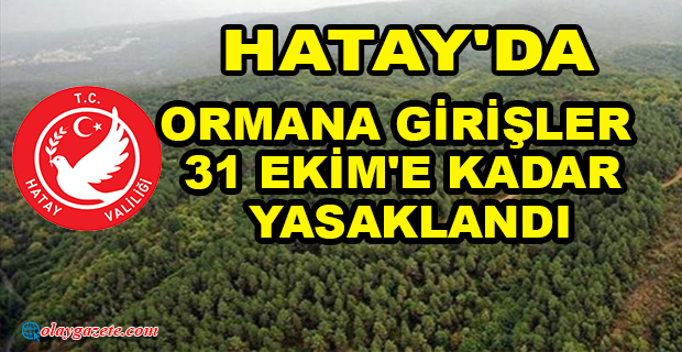 HATAY’DA ORMANLARA GİRİŞLER YASAKLANDI