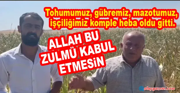 DİYARBAKIRLI ÇİFTÇİ: 