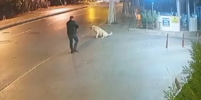 KÖPEĞE SİLAH DOĞRULTAN ŞÜPHELİNİN DOKUZ AYRI SUÇTAN KAYDI ÇIKTI