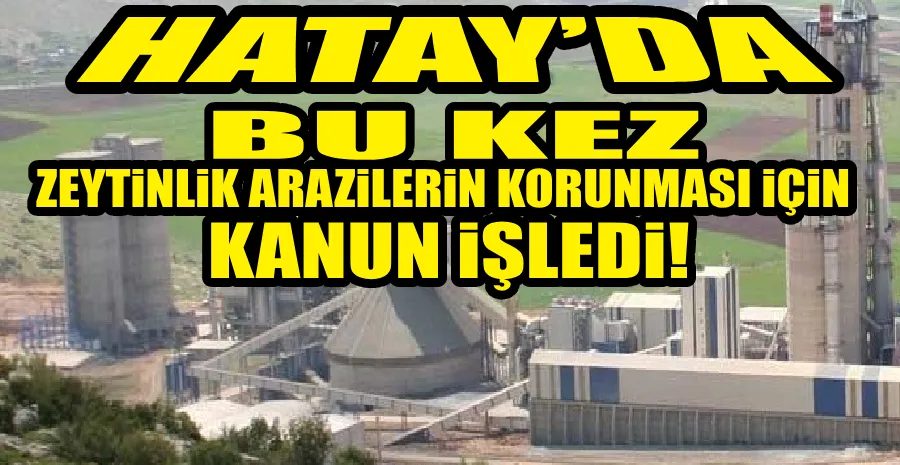 BAKANLIK, HATAY