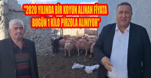 ÖMER FETHİ GÜRER: