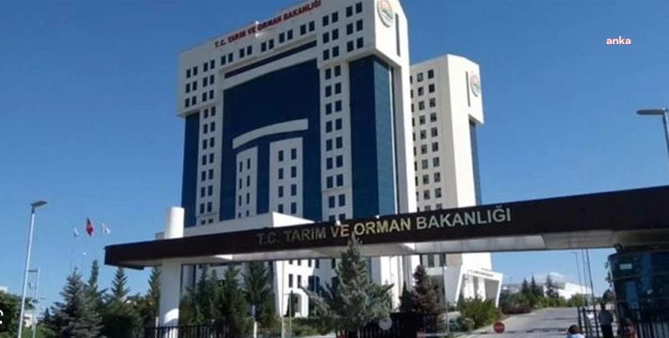 TARIM VE ORMAN BAKANLIĞI YAŞ ÇAY ALIM FİYATINI BELİRLEDİ