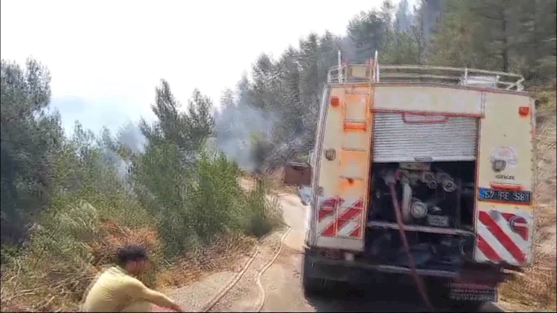 Sinop’un Dikmen ilçesinde çıkan orman yangınına müdahale sürüyor