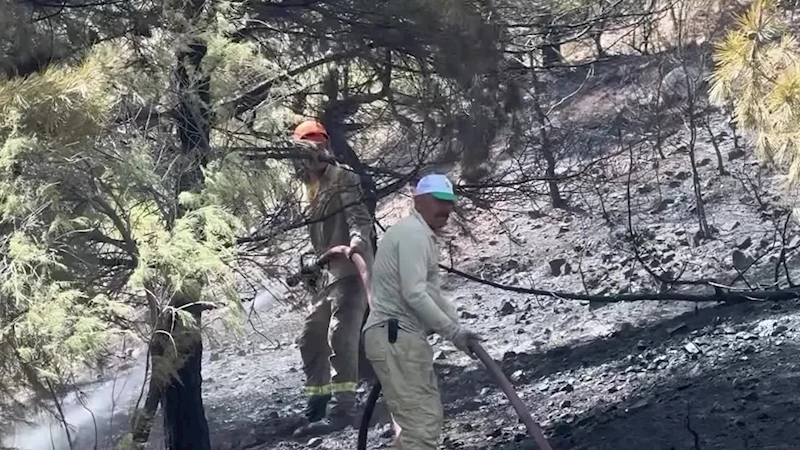 İzmir Orman Bölge Müdürlüğü’nden İzmir ve Manisa için yangın raporu: Yılın ilk altı ayında 45 yangın çıktı