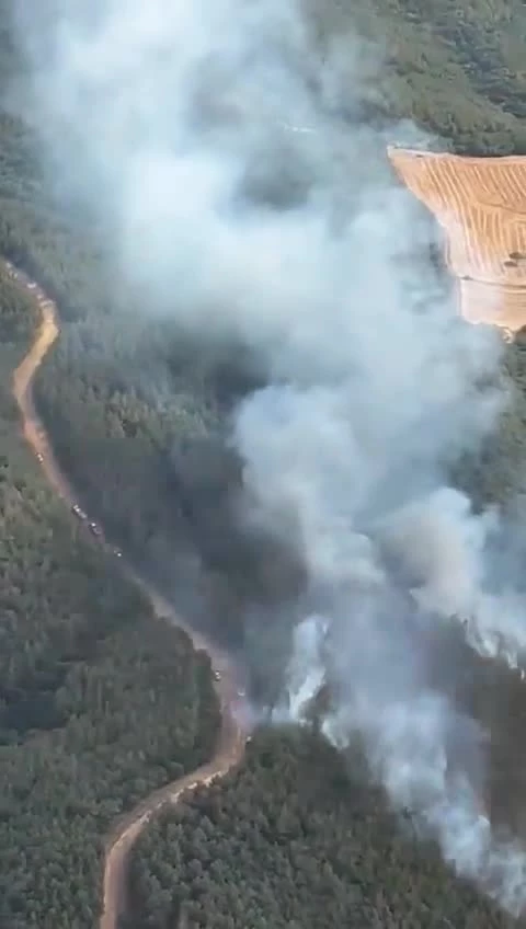 Edirne Keşan’da orman yangını çıktı
