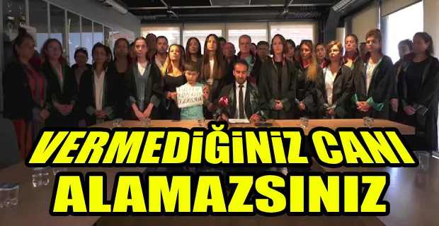 İstanbul Barosu Hayvan Hakları Merkezi:Tasarıya karşı her türlü mücadeleyi vereceğiz