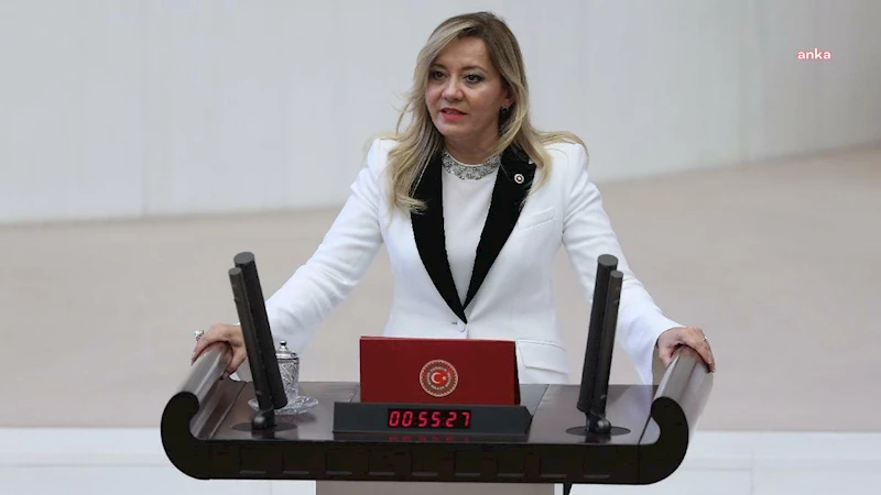 Eski İYİ Parti milletvekili Aylin Cesur partisinden istifa etti 
