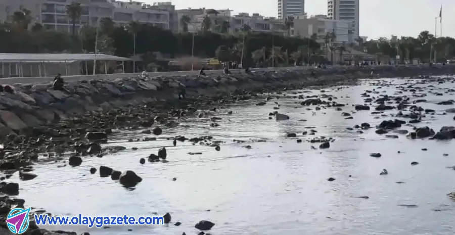 İSKENDERUN’DA SAHİL BANDINDA DENİZ ÇEKİLİYOR!