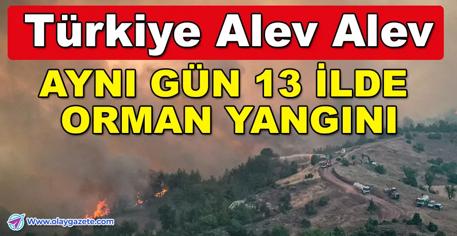 TÜRKİYE YANGINLA MÜCADELE EDİYOR