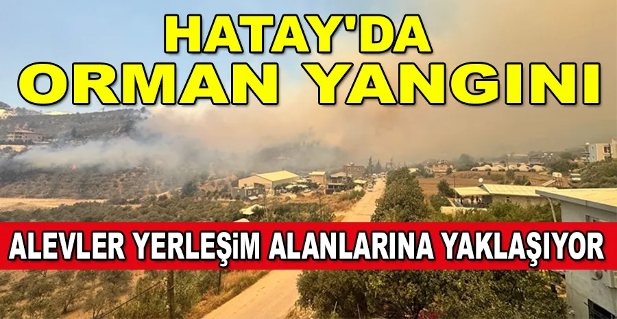 HATAY ANTAKYA’DA ORMAN YANGINI