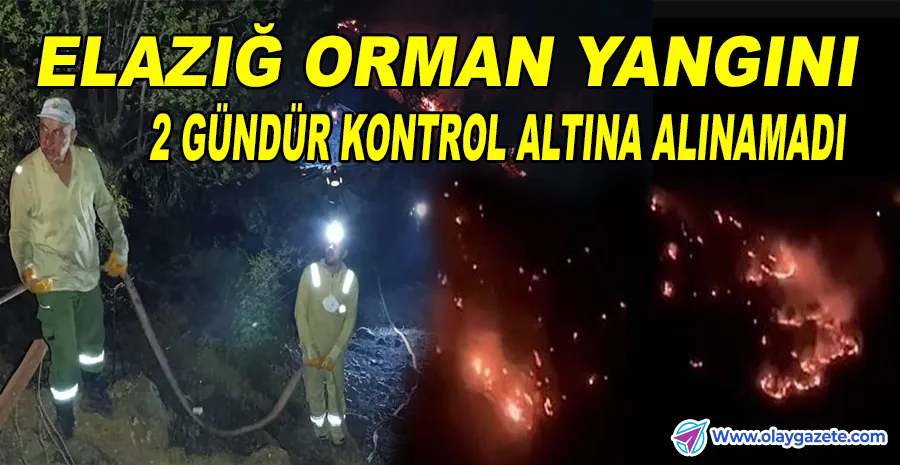 ELAZIĞ’DA ORMAN YANGINI 2 GÜNDÜR SÜRÜYOR! RÜZGAR TEHLİKEYİ BÜYÜTTÜ