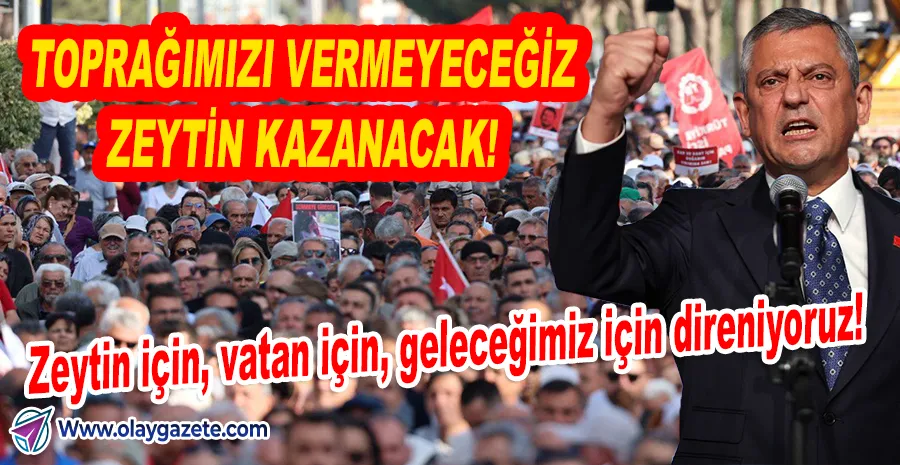 BİNLER KİŞİ MEYDANLARDA: ZEYTİN İÇİN, DOĞA İÇİN, GELECEK İÇİN DİRENİŞ