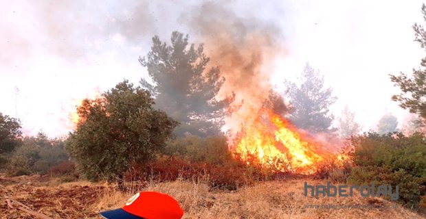 4 Farklı Noktada Orman Yangını