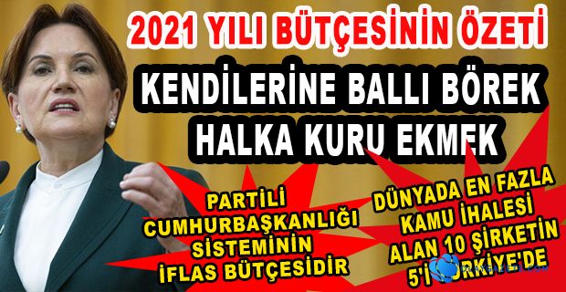 AKŞENER, 2021 YILI BÜTÇESİNİ ÖZETLEDİ