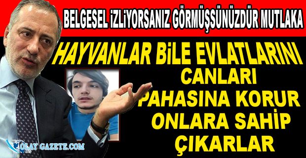 ALTAYLI