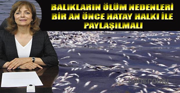 BALIK ÖLÜMLERİ İLE İLGİLİ KENT KONSEYİ’NDEN ÇAĞRI