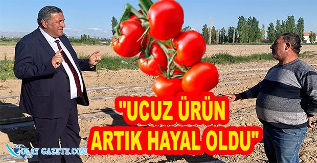 "DOMATESİN FİYATI İKİ KAT ARTACAK"