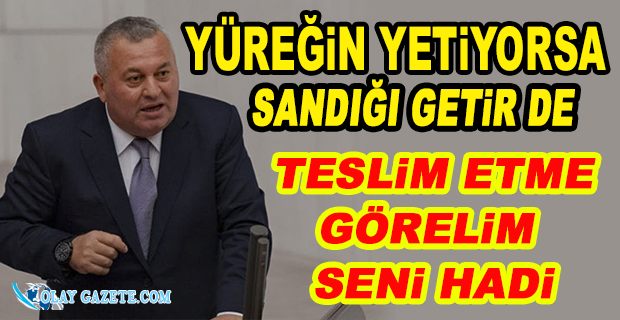 ENGİNYURT