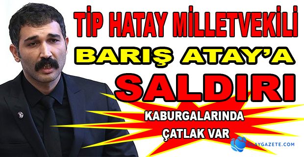 HATAY MİLLETVEKİLİ BARIŞ ATAY