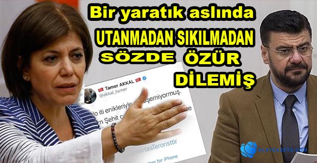 HDP GRUP BAŞKANVEKİLİ BEŞTAŞ