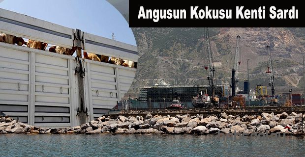 İSKENDERUN’DA YAYILAN KOKUNUN NEDENİ BELLİ OLDU