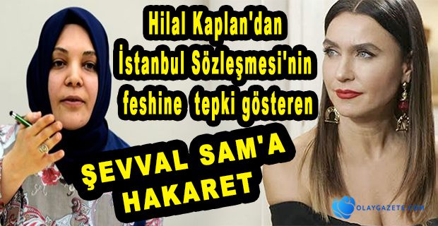 Pelikancı Hilal Kaplan, İstanbul Sözleşmesi
